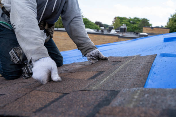 Best New Roof Installation  in Quitman, MS